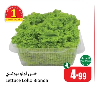 Lettuce Lollo Bionda