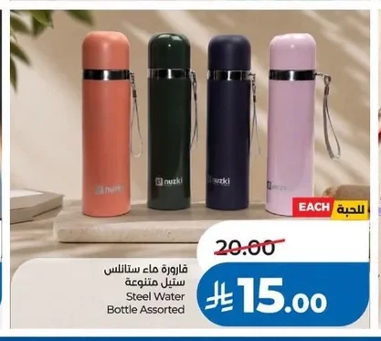 Steel Water Bottle Assorted