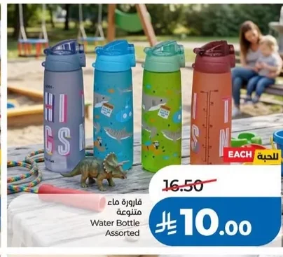 Water Bottle Assorted
