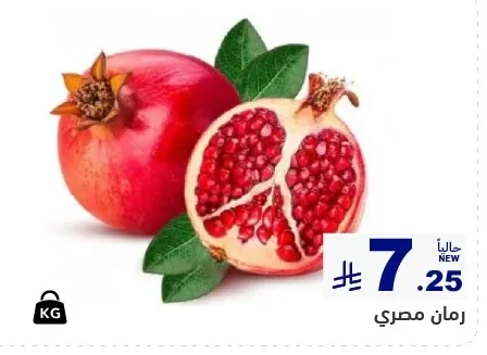 Egyptian Pomegranate