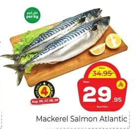 Mackerel Salmon Atlantic