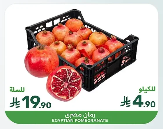 EGYPTIAN POMEGRANATE