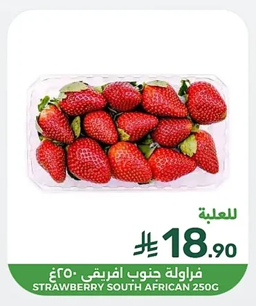 فراولة جنوب افريقي