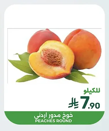 PEACHES ROUND