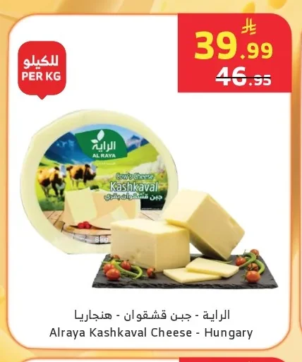 Kashkaval Cheese