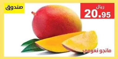 MANGO NAOMI