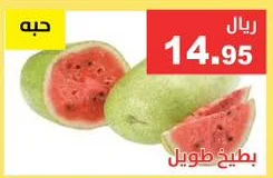 WATERMELON LONG
