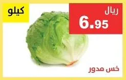 Round Lettuce