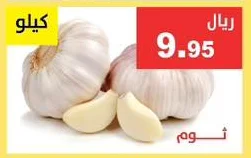 Garlic