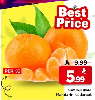مندرين ناداركوت