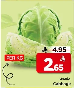 ملفوف