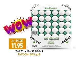 RYFCOM Eggs