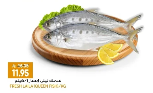 سمك ليلي (بسر)