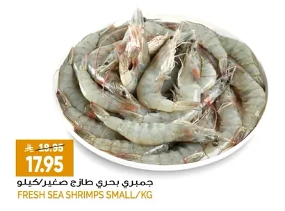 جمبري بحري طازج صغير
