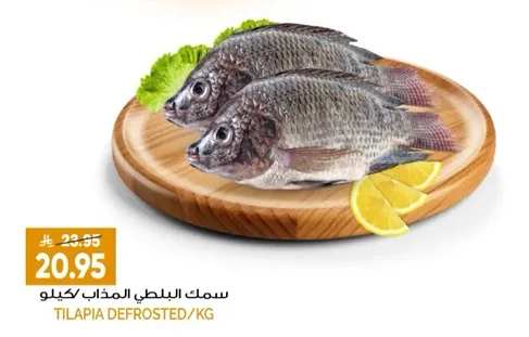 سمك البلطي المذاب