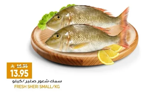 سمك شعور صغير