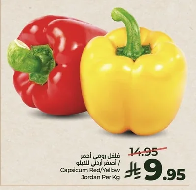 فلفل رومي احمر / أصفر