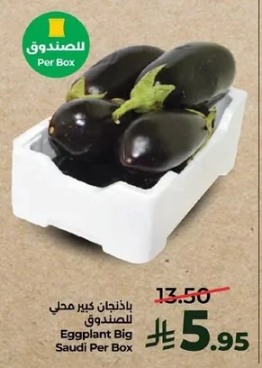باذنجان كبير محلي