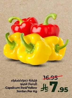 Capsicum Red/Yellow