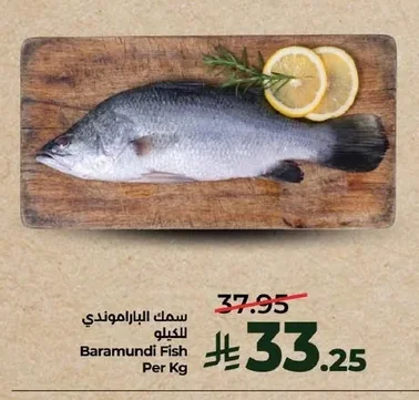 Baramundi Fish