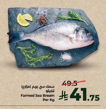 Farmed Sea Bream