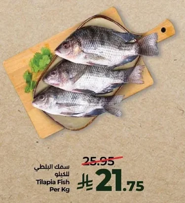 Tilapia Fish