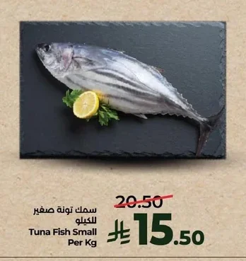 Tuna Fish Small