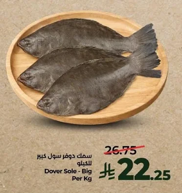 Dover Sole - Big