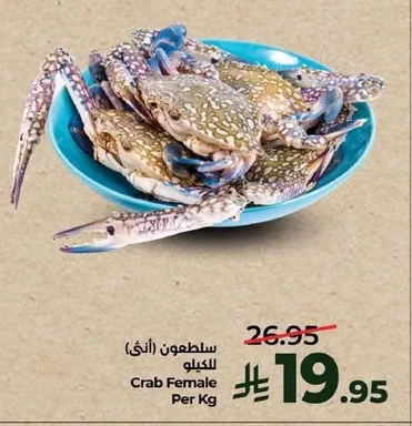 Crab Female Per Kg