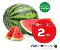 بطيخ