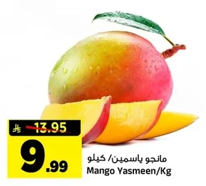 مانجو ياسمين