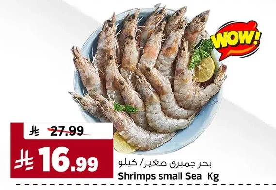 بحر جمبري صغير