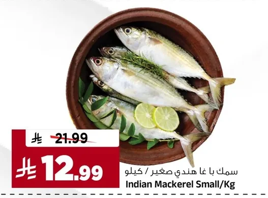 سمك با غا هندي صغير