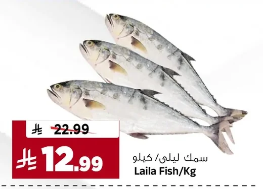 Laila Fish