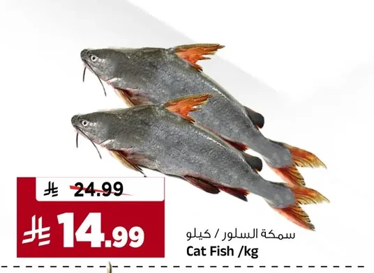 سمكة السلور