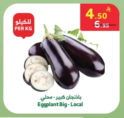 Eggplant Big