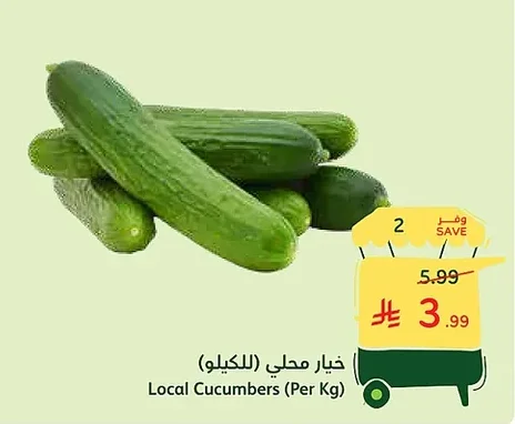 Local Cucumbers