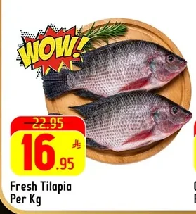 Fresh Tilapia Per Kg