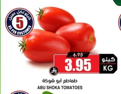 طماطم أبو شوكة