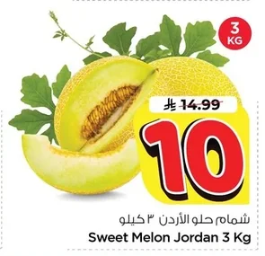شمام حلو الأردن
