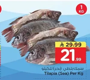 سمك بلطي (بحر)