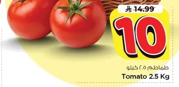 طماطم