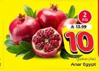 Anar Egypt