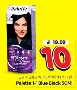 Palette Hair Color Black