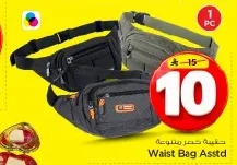 Waist Bag Asstd
