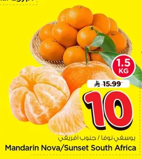 Mandarin Nova/Sunset South Africa