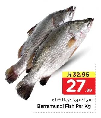 Barramundi Fish Per Kg