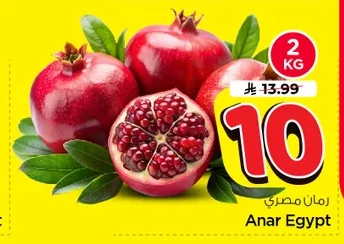 Anar Egypt
