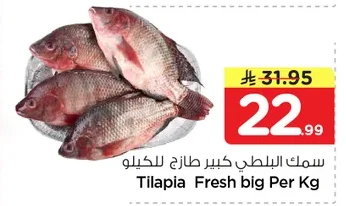 Tilapia Fresh big Per Kg