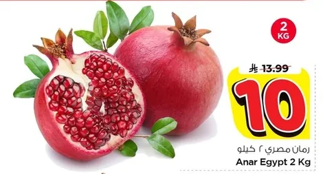 Anar Egypt